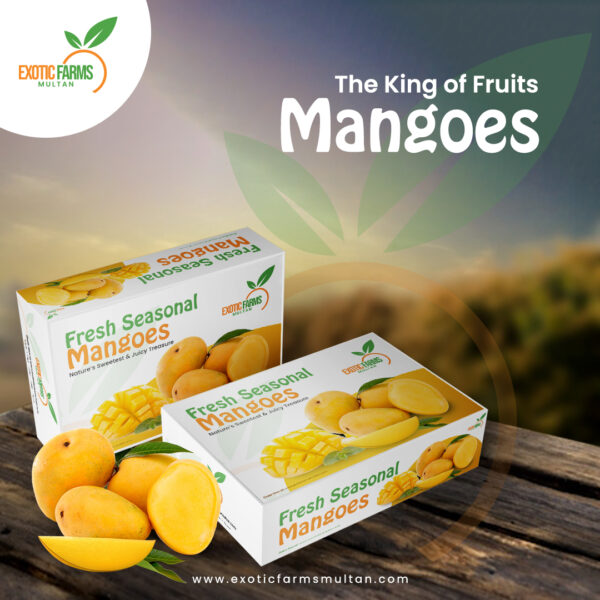 Chaunsa Mango - Image 2