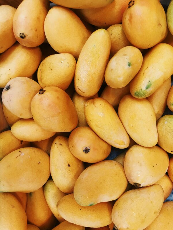 Chaunsa Mango